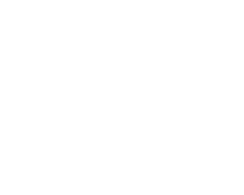 G4